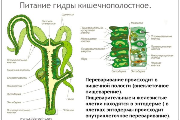 Кракен сыл ссылка